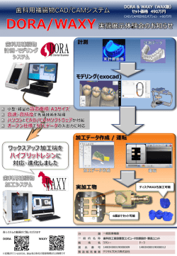 モデリング(exocad) - 株式会社クエスト[Quest]