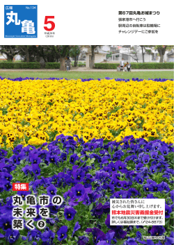 亀山公園内の花壇