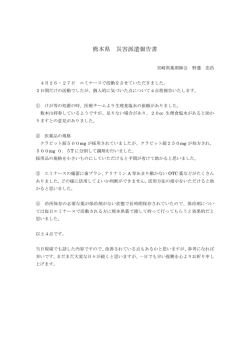 熊本地震支援活動個人レポート No.4