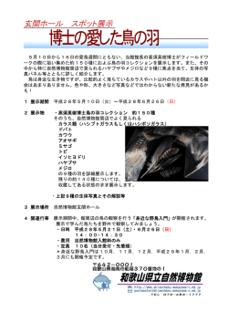 博士が愛した鳥の羽