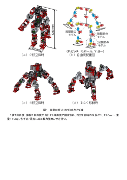 図1 脚型ロボットのプロトタイプ機 1肢7自由度、体幹1自由度の合計29