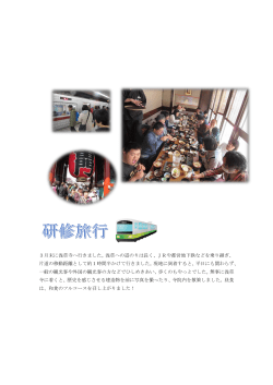3月末に浅草寺へ行きました。浅草への道のりは長く、JRや都営地下鉄