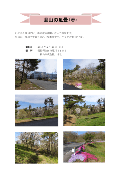 里山の風景(春) - 松山株式会社