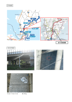 15 ×15 ×2 約 350g 【拡大図】 砂子多高架橋 【平面図】 【状況写真】