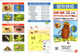 植物検疫[PDF：294KB]