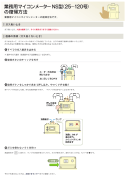 ページ印刷用PDF（PDFファイル）