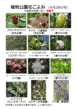 植物公園花ごよみ （4月28日号）