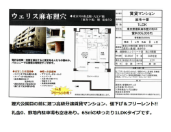 ウェリス麻布狸穴 1LDK