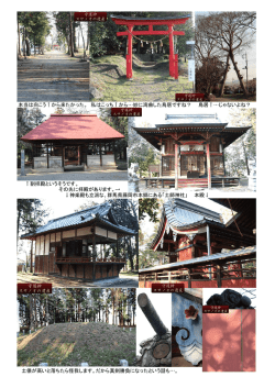 ブログ写真 土師神社 藤岡市