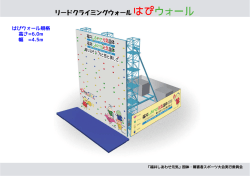 リードクライミングウォールはぴウォール