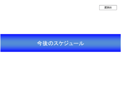資料6＿今後のスケジュール