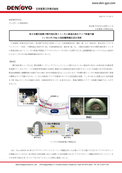 東日本震災復興の樫内地区第 2 トンネル貫通式典を