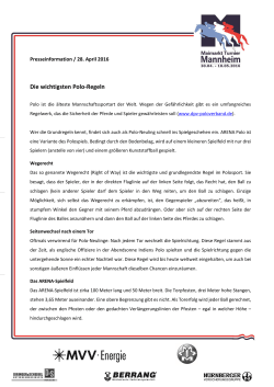Die wichtigsten Polo-Regeln