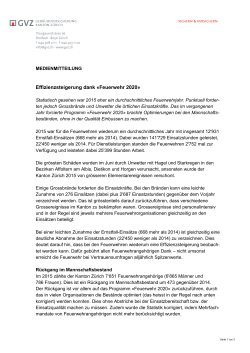 Effizienzsteigerung dank &laquo;Feuerwehr 2020