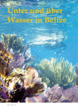 Unter und über Wasser in Belize