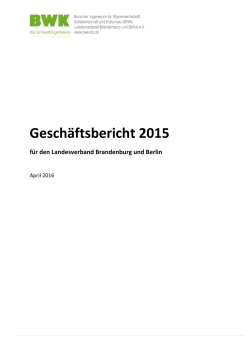 Geschäftsbericht 2015 - BWK Berlin, Brandenburg