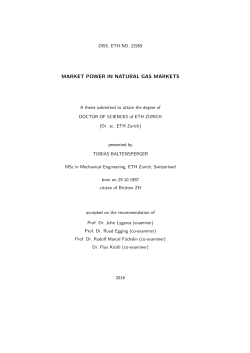 market power in natural gas markets - ETH E