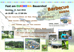 Hoffest Plakat 2016