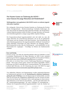 Stellungnahme - Kooperationsverbund Jugendsozialarbeit