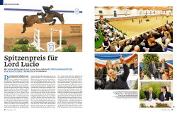 - Pferd+Sport