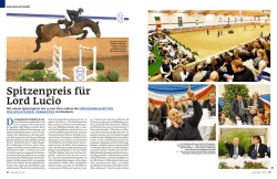 - Pferd+Sport