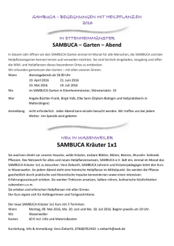 SAMBUCA Kräuter 1x1