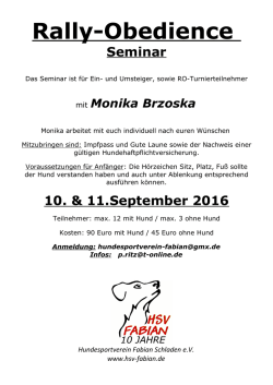Infos - HSV