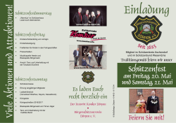PDF zum
