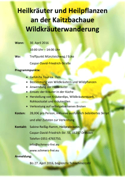 Heilkräuter und Heilpflanzen an der Kaitzbachaue