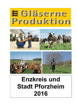 Gl&auml;serne Produktion