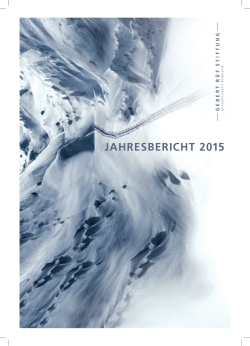 jahresbericht 2015 - Gebert Rüf Stiftung