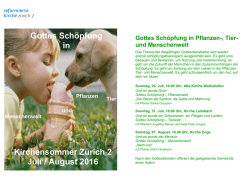 Gottes Sch&ouml;pfung in Kirchensommer Z&uuml;rich 2 Juli / August 2016