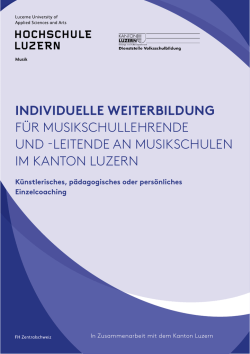 individuelle weiterbildung f&uuml;r musikschullehrende und