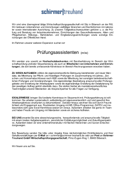 Prüfungsassistenten - Schirmer Treuhand GmbH