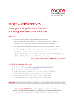 MORE-Perspectives_Infoblatt