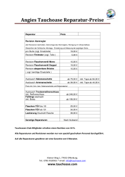 Reparatur Preis Revision Atemregler pro Stufe (zzgl. Ersatzteile) 19