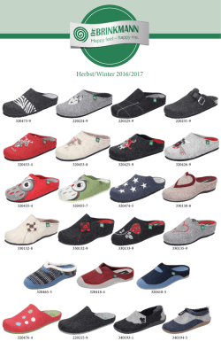 Dr. Brinkmann Hausschuhe HW16