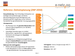 Referenz: Zielnetzplanung (ZNP-2050) - e