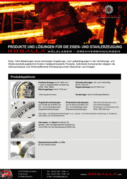 Infoflyer - Lutz Rogalla GmbH