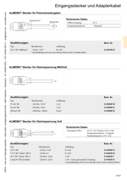 Eingangsstecker und Adapterkabel