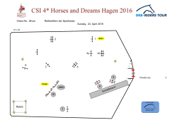 Parcours - reitturniere