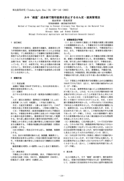カキ`蜂屋`成木樹で隔年結果を防止するせん定・結実管理法