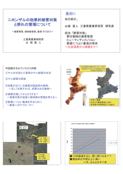 講義資料:1894KB