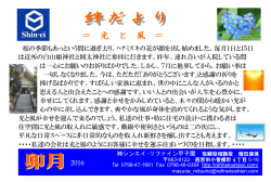 ＝ ＝ 光 と 風 ＝