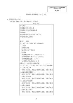 評価報告書の構成について（案）