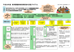 研修概要（ポンチ絵)(PDF）