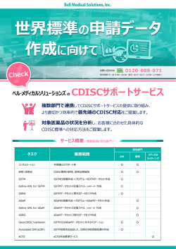 世界標準の申請データ