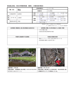 詳細資料 [PDF 115KB]