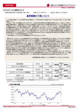 ライジング・トルコ株式ファンド - 損保ジャパン日本興亜アセットマネジメント