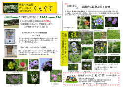 中城公園ニュースレター2016.5月[PDF：1MB]